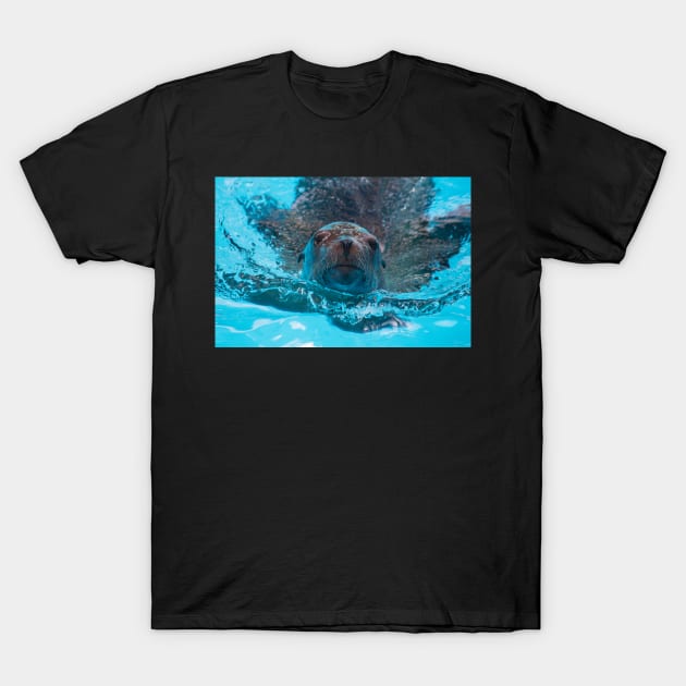 Sea Lion Love T-Shirt by Jacquelie
